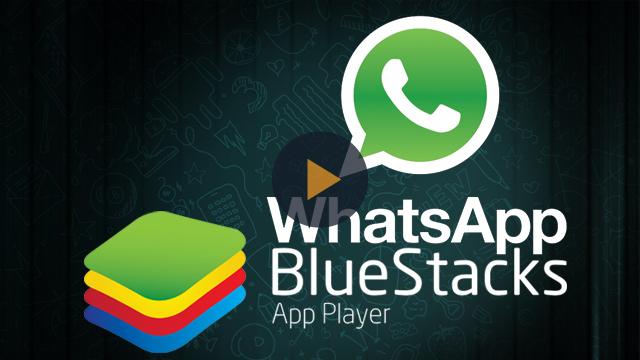 whatsapp for mac bluestacks